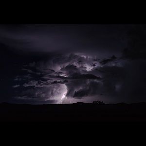 Meet your Posher, Jerrod